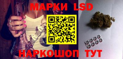 индика Гусиноозёрск