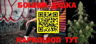 индика Гусиноозёрск