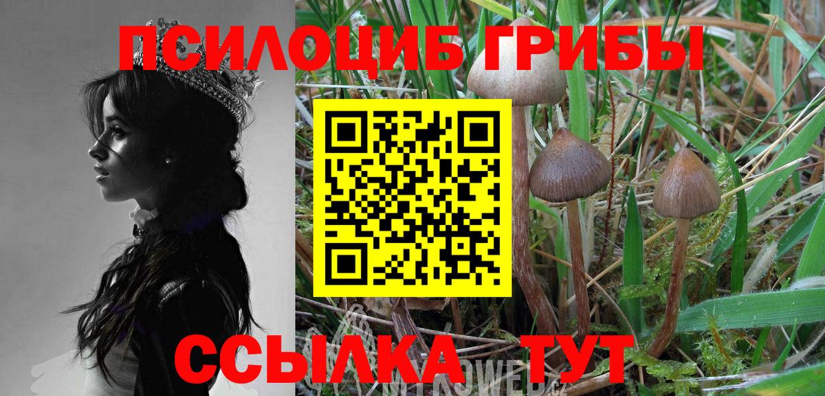 Галлюциногенные грибы GOLDEN TEACHER  Псилоцибиновые грибы GOLDEN TEACHER  Вход с VPN  Симферополь 